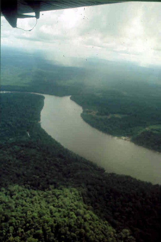 L'Amazonie guyanaise
