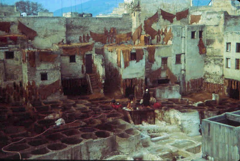 La tannerie (840234)