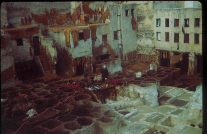 La tannerie (840237)
