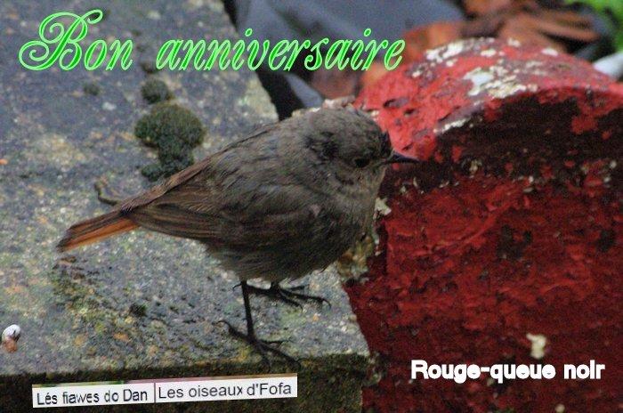 Un an de plus...